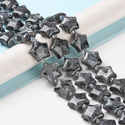 Natürliche Larvikit-Perlenstränge&nbsp;G-NH0005-016