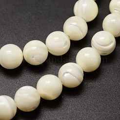 Chapelets de perles de coquillage&nbsp;SSHEL-E571-39-4mm
