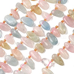 Naturperlen Stränge morganite&nbsp;G-P604-A07-01