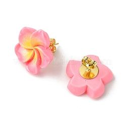 Aretes de resina para mujer&nbsp;EJEW-JE05663