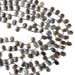 Natur Labradorit Perlen Stränge&nbsp;G-L654-K02-01