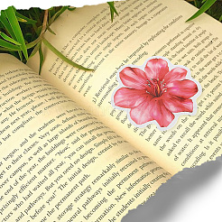 Cartoon-Blumenpapier-Aufkleber-Etikettensatz&nbsp;DIY-SC0031-01
