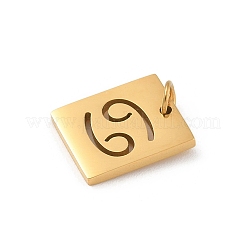 Anhänger aus 304 Edelstahl&nbsp;LS-STAS-R001-03G-04