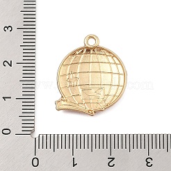 Emaille Anhänger Legierung&nbsp;FIND-Z064-01B