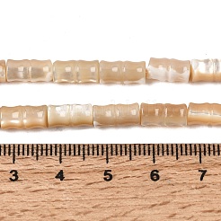 Natürliche Trochidschale / Trochusschalenperlenstränge&nbsp;SHEL-A006-06B