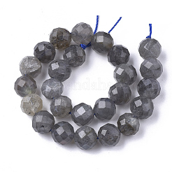Cuentas labradorita natural hebras&nbsp;G-S345-6mm-005