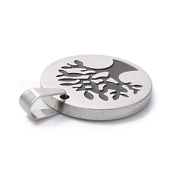Ciondoli in acciaio inox 304&nbsp;STAS-Z027-02C-P