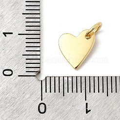 Pendentifs en laiton&nbsp;KK-I364-01G-02