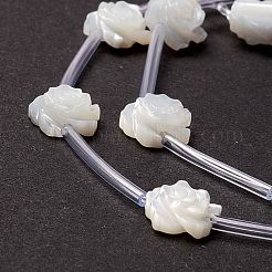 Fili di perle di conchiglia trochid naturale / trochus&nbsp;SSHEL-O001-21B