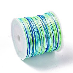 Cordones de satén de cola de rata de nailon teñidos en segmentos&nbsp;NWIR-A008-01K