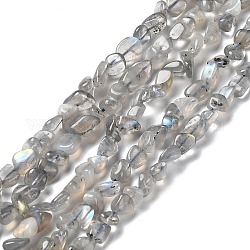 Chapelets de perles en labradorite naturelle , pépites, 7.5~16x7.5~9x4~7mm, Trou: 0.9mm, Environ 41~44 pcs/chapelet, 16.14''~17.32'' (41~44 cm)