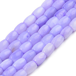 Brin de perles de coquillages d'eau douce naturels, teinte, baril, support violet, 6.5x5mm, Trou: 0.8mm, Environ 58~60 pcs/chapelet, 15.43 pouce ~ 15.94 pouces (39.2 cm ~ 40.5)