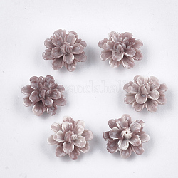Abalorios de coral sintético, teñido, flor, marrón rosado, 17.5x18x10mm, agujero: 1.5 mm