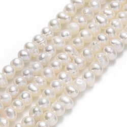 Fili di perle di perle d'acqua dolce coltivate naturali, patata, beige, 2.5~3.5x3~4x3~4mm, Foro: 0.5 mm, circa 117~133pcs/filo, 13.98~15.47 pollice (35.5~39.3 cm)