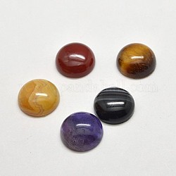 Природных драгоценных камней кабошон, полукруглые / купольные, смешанный камень, разноцветные, 20x7 мм