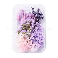 Fleurs séchées, accessoires de fabrication de savon bougie bricolage, avec boîte rectangulaire en plastique, violet, 7.6~15x1~11.2 cm