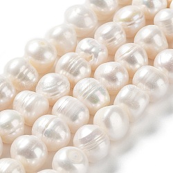Fili di perle di perle d'acqua dolce coltivate naturali, patata, grado ab, bianco antico, 9~11x10~11mm, Foro: 0.5 mm, circa 35pcs/filo, 14.41'' (36.6 cm)