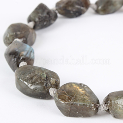 Природный камень лабрадорит грубые самородки бусины, 22x15x8 мм, отверстие : 2 мм, около 10~17 шт / нитка, 16.54 дюйм