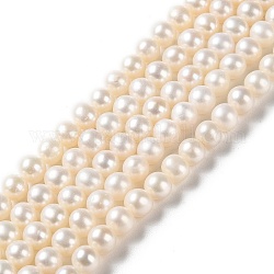 Chapelets de perles de nacre naturell, ronde, Note 5 un, fumée blanche, 5.5~6x5.5~6mm, Trou: 0.7mm, Environ 72 pcs/chapelet, 15.63 pouce (39.7 cm)