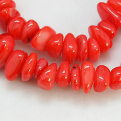 Chapelets de perles de coquillage naturel, teinte, puces, rouge, 5~12x5~8x1~6mm, Trou: 1mm