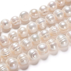Brins de perles de culture d'eau douce naturelles, ronde, blanc antique, 10~11x9~10mm, Trou: 0.6mm, Environ 19 pcs/chapelet, 7.28 pouce (18.5 cm)