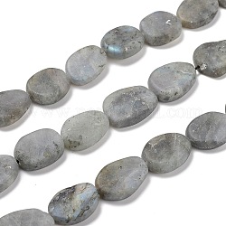 Chapelets de perles en labradorite naturelle , mat, forme d'oeuf, 19~21x14~15x5~6mm, Trou: 1mm, Environ 20~22 pcs/chapelet, 15.75 pouce (40 cm)