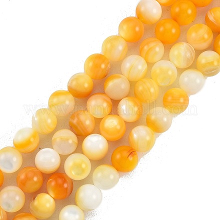 Fili di perline di conchiglia giallo dorato naturale SSHEL-G024-01B-1