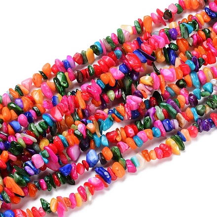 Natural Shell Beads Strands X-SSHEL-I025-A01-1