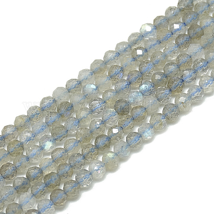 Chapelets de perles en labradorite naturelle  G-S300-23-3mm-1