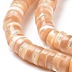 Chapelets de perles de coquille de trochid / trochus coquille SSHEL-L016-13F-3