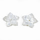 Perles de coquillage blanc naturel SSHEL-N027-131A-01-4