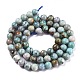 Natural Chrysocolla Beads Strands G-R477-6mm-2