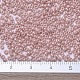 Perles rocailles miyuki rondes X-SEED-G007-RR0429-4