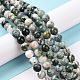 Natural Tree Agate Beads Strands G-K194-8mm-02-7