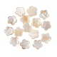 Perles de coquillages naturels d'eau douce SHEL-CJ0001-17-1