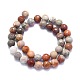 Natural Fossil Coral Beads Strands G-K310-A03-10mm-2