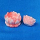 Conjuntos de cuentas de conchas de loto de estilo buda natural BSHE-F0008-05-1