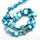Dyed Natural Freshwater Shell Beads Strands SHEL-J003-05-2