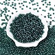 Прозрачное стекло Бисер SEED-N007-33A-09-2