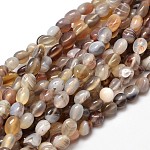 Pépites naturelles agate de botswana perles brins, pierre roulée, 5~10x6~7x3~7mm, Trou: 1mm, environ 14.9 pouce ~ 15.7 pouces