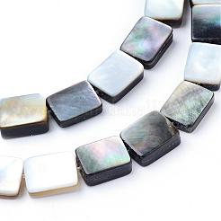 Natürliche schwarze Lippenschalenperlenstränge&nbsp;SHEL-S249-34