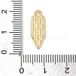 Emaille Anhänger Legierung&nbsp;ENAM-R147-11C