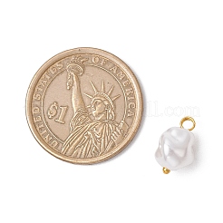 Breloques en perles d'imitation en plastique écologiques&nbsp;PALLOY-JF03968-01