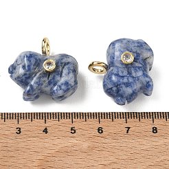 Colgantes tallados de jaspe de punto azul natural&nbsp;GG-CBA105B-03G-G