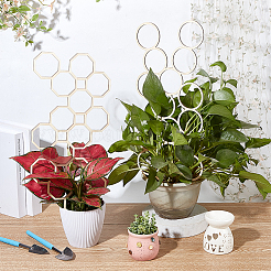 Treillis pour plantes ligneuses&nbsp;WOOD-WH0125-17C