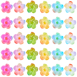 48 Stück 6 Farben transparente Harz Cabochons&nbsp;RESI-SC0006-62