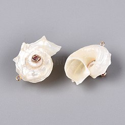 Galvanisierte Anhänger aus goldfarbenem Messing mit natürlichen Spiralmuscheln&nbsp;SSHEL-Q101-07