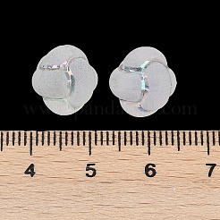Gefrostet transparent Acrylperlen&nbsp;OACR-P029-16B-01