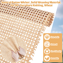 Osier en rotin naturel&nbsp;AJEW-WH0410-271D