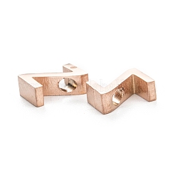 Breloques en acier inoxydable 304 plaquées par ions (IP)&nbsp;STAS-K216-41Z-RG